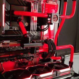 Pc Gamer newt generation rouge Origin Info System